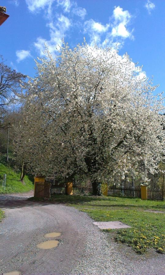Ferienwohnung Ottmanach Josefhof Pischeldorf 外观 照片