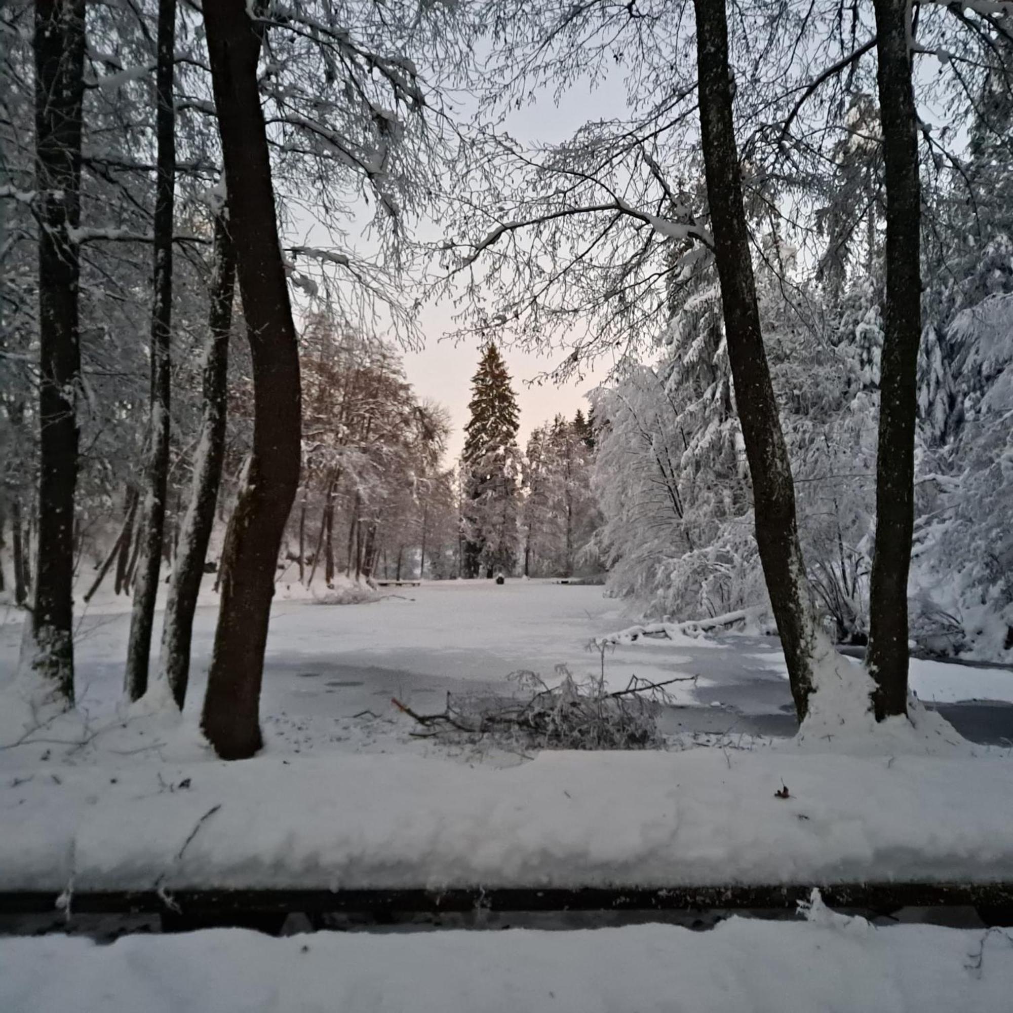 Ferienwohnung Ottmanach Josefhof Pischeldorf 外观 照片