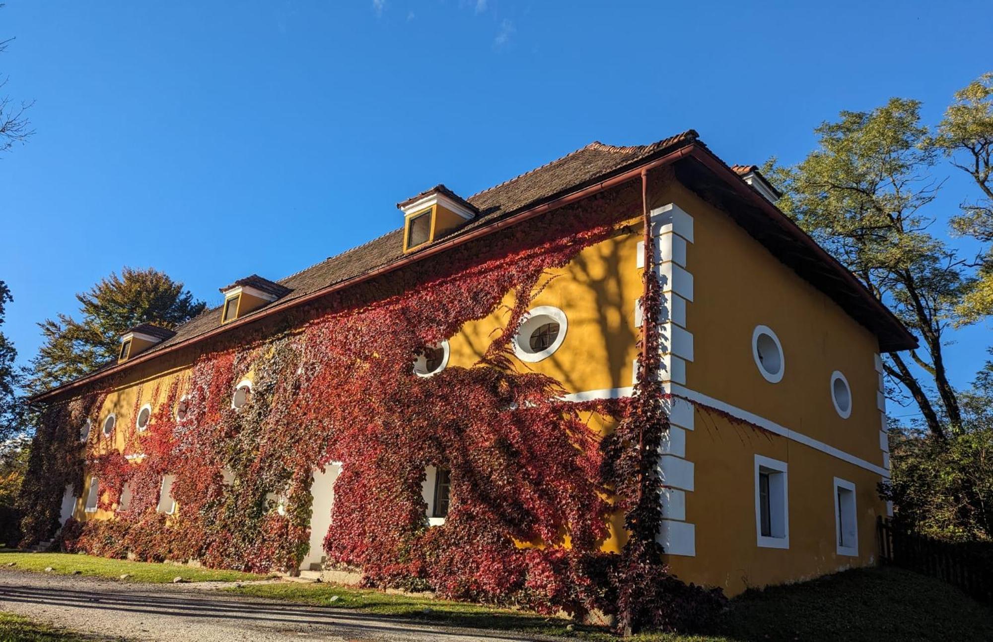 Ferienwohnung Ottmanach Josefhof Pischeldorf 外观 照片