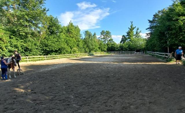 Ferienwohnung Ottmanach Josefhof Pischeldorf 外观 照片