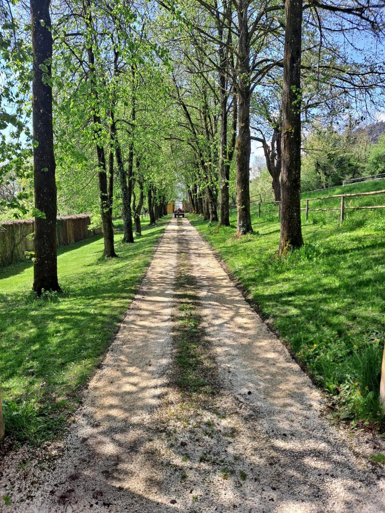 Ferienwohnung Ottmanach Josefhof Pischeldorf 外观 照片